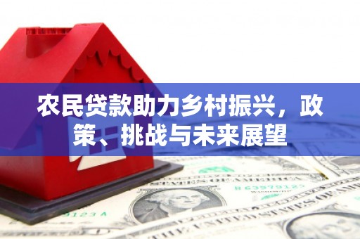 麻豆农民贷款助力乡村振兴，政策、挑战与未来展望