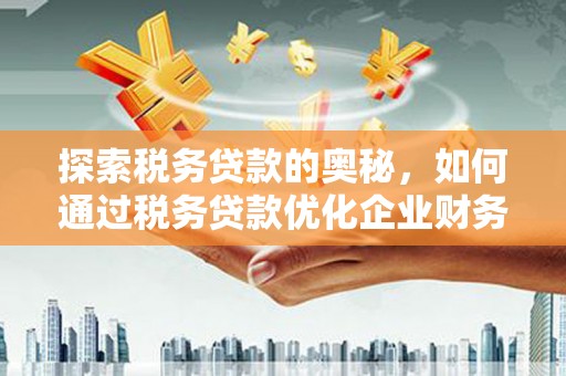 麻豆探索税务贷款的奥秘，如何通过税务贷款优化企业财务