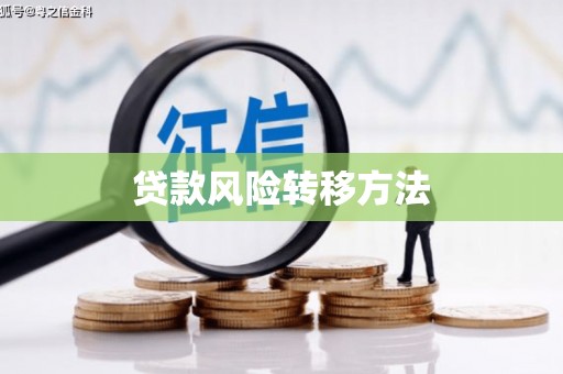 麻豆贷款风险转移方法