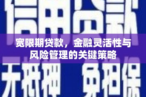 麻豆宽限期贷款，金融灵活性与风险管理的关键策略