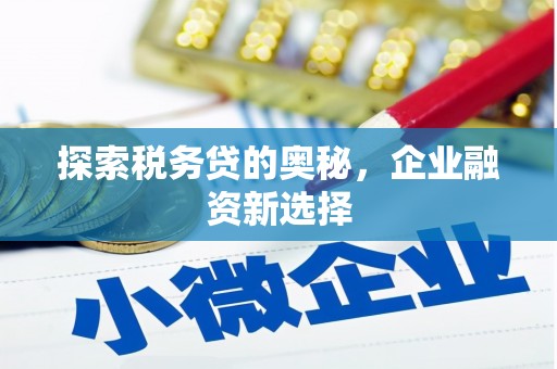 麻豆探索税务贷的奥秘，企业融资新选择
