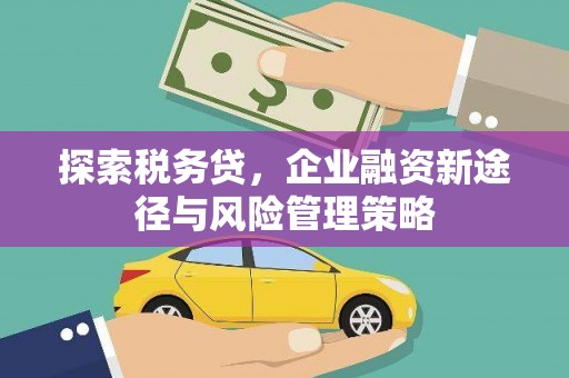 麻豆探索税务贷，企业融资新途径与风险管理策略