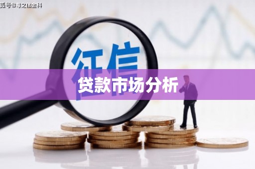 麻豆贷款市场分析