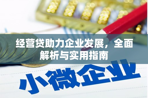 麻豆经营贷助力企业发展，全面解析与实用指南