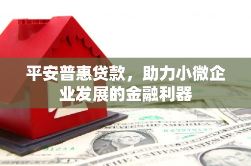 麻豆平安普惠贷款，助力小微企业发展的金融利器