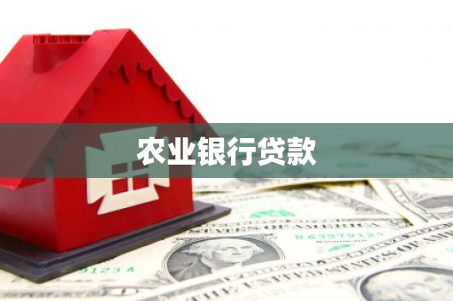 麻豆农业银行贷款