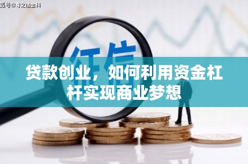麻豆贷款创业，如何利用资金杠杆实现商业梦想