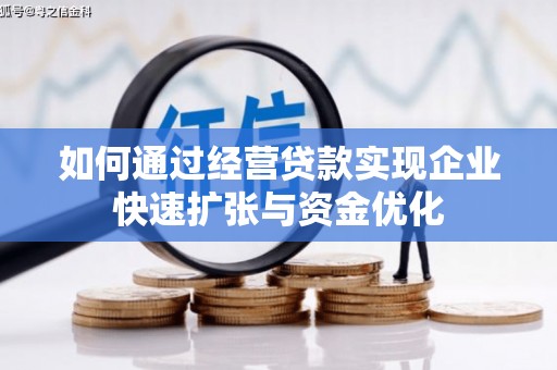麻豆如何通过经营贷款实现企业快速扩张与资金优化
