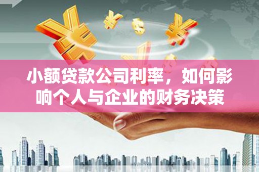 麻豆小额贷款公司利率，如何影响个人与企业的财务决策
