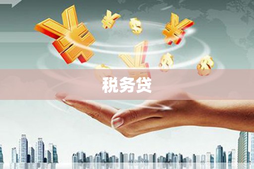 麻豆税务贷