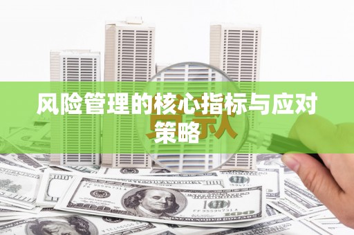 麻豆风险管理的核心指标与应对策略