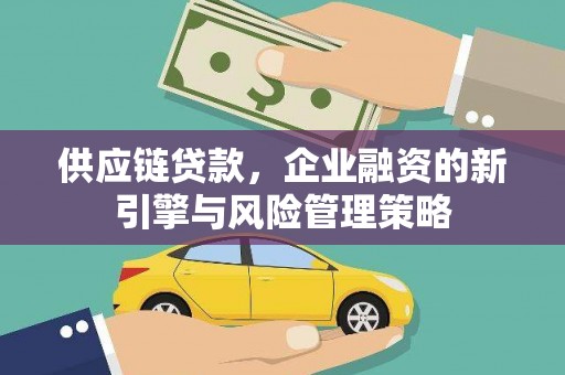 麻豆供应链贷款，企业融资的新引擎与风险管理策略