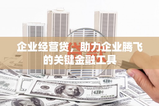 麻豆企业经营贷，助力企业腾飞的关键金融工具