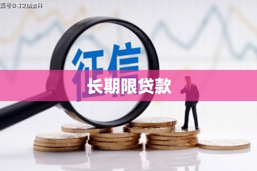 麻豆长期限贷款