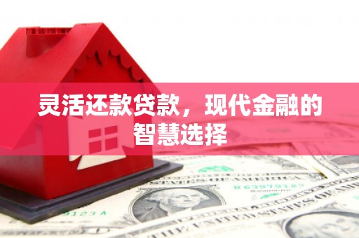 麻豆灵活还款贷款，现代金融的智慧选择