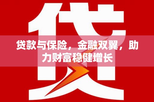 麻豆贷款与保险，金融双翼，助力财富稳健增长