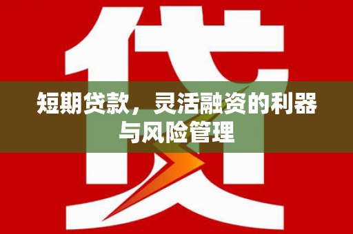 麻豆短期贷款，灵活融资的利器与风险管理