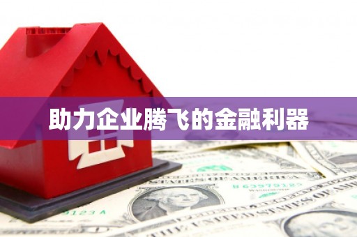 麻豆助力企业腾飞的金融利器