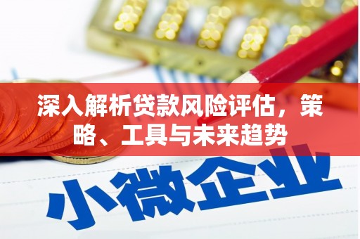 麻豆深入解析贷款风险评估，策略、工具与未来趋势