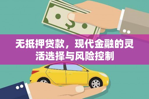 麻豆无抵押贷款，现代金融的灵活选择与风险控制