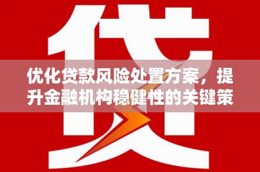 麻豆优化贷款风险处置方案，提升金融机构稳健性的关键策略