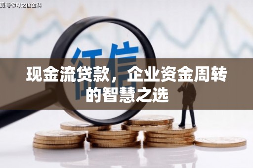 麻豆现金流贷款，企业资金周转的智慧之选