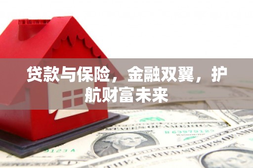 麻豆贷款与保险，金融双翼，护航财富未来