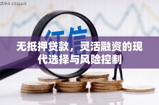 麻豆无抵押贷款，灵活融资的现代选择与风险控制