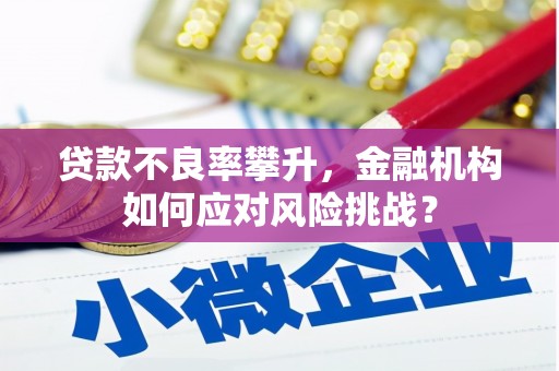 麻豆贷款不良率攀升，金融机构如何应对风险挑战？