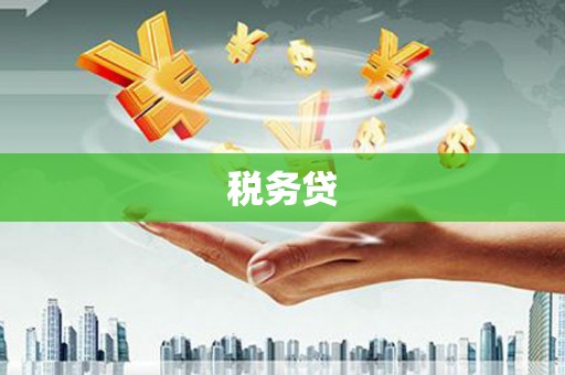 麻豆税务贷