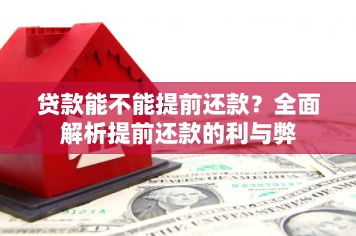 麻豆贷款能不能提前还款？全面解析提前还款的利与弊