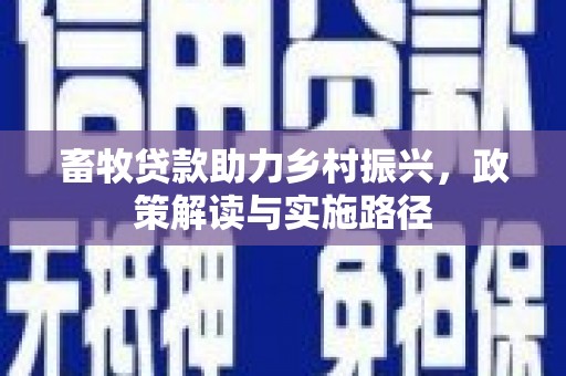 麻豆畜牧贷款助力乡村振兴，政策解读与实施路径