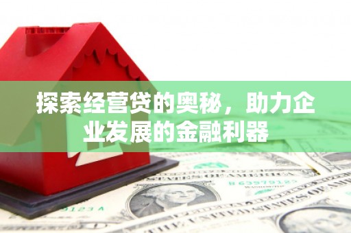 麻豆探索经营贷的奥秘，助力企业发展的金融利器