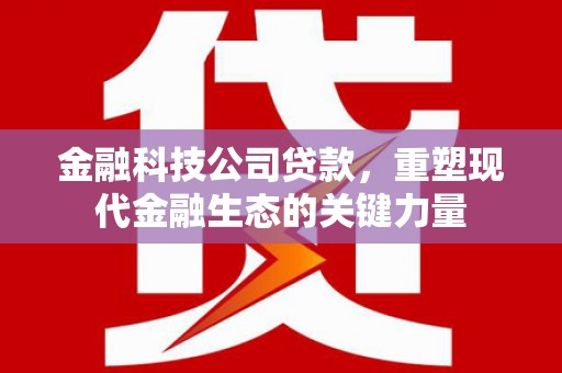 麻豆金融科技公司贷款，重塑现代金融生态的关键力量