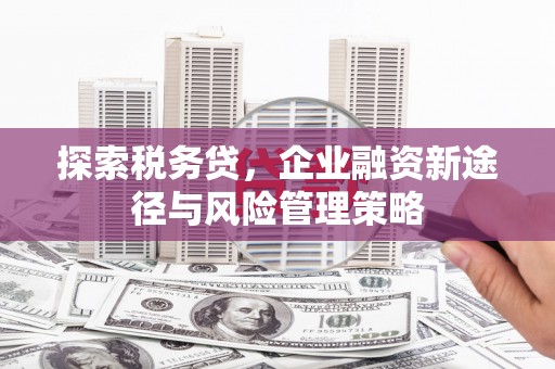 麻豆探索税务贷，企业融资新途径与风险管理策略