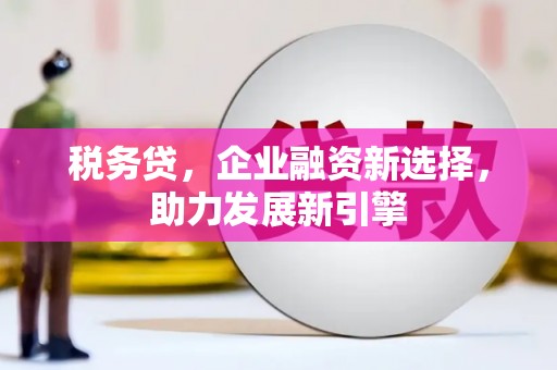 麻豆税务贷，企业融资新选择，助力发展新引擎