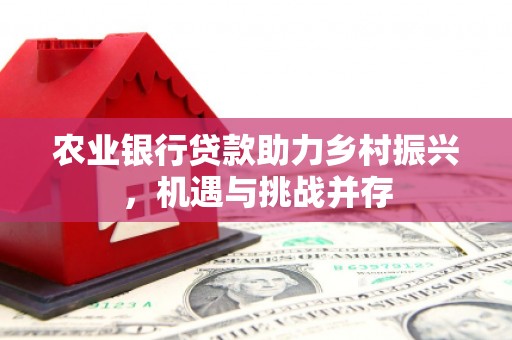 麻豆农业银行贷款助力乡村振兴，机遇与挑战并存