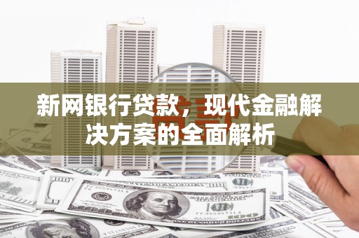 麻豆新网银行贷款，现代金融解决方案的全面解析