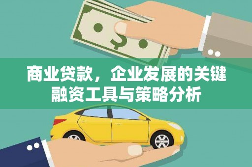 麻豆商业贷款，企业发展的关键融资工具与策略分析