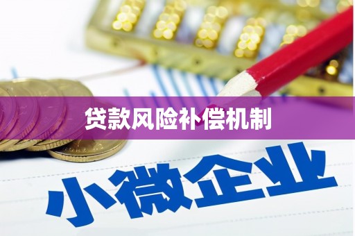 麻豆贷款风险补偿机制
