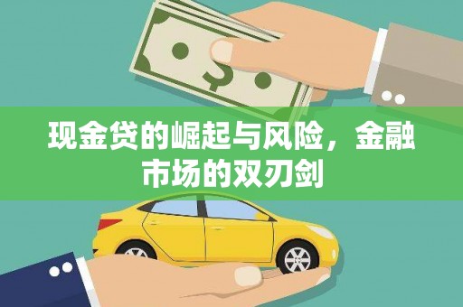麻豆现金贷的崛起与风险，金融市场的双刃剑