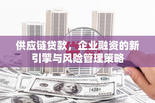 麻豆供应链贷款，企业融资的新引擎与风险管理策略
