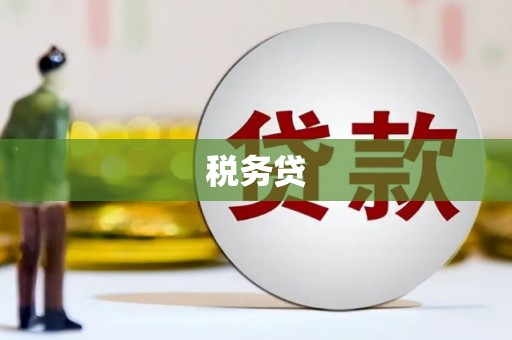 麻豆税务贷