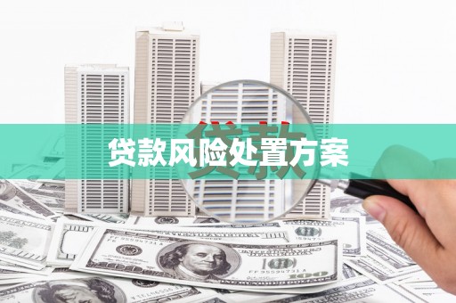 麻豆贷款风险处置方案