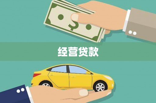 麻豆经营贷款