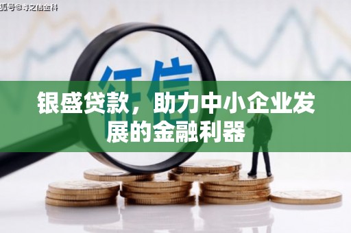麻豆银盛贷款，助力中小企业发展的金融利器