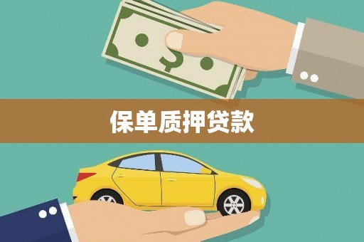 麻豆保单质押贷款