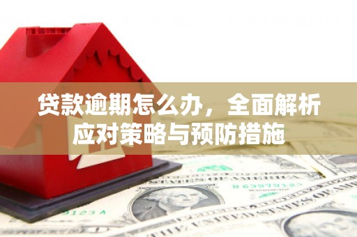 麻豆贷款逾期怎么办，全面解析应对策略与预防措施
