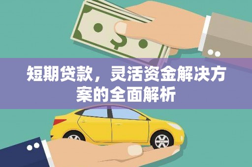 麻豆短期贷款，灵活资金解决方案的全面解析