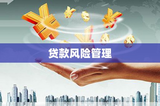 麻豆贷款风险管理